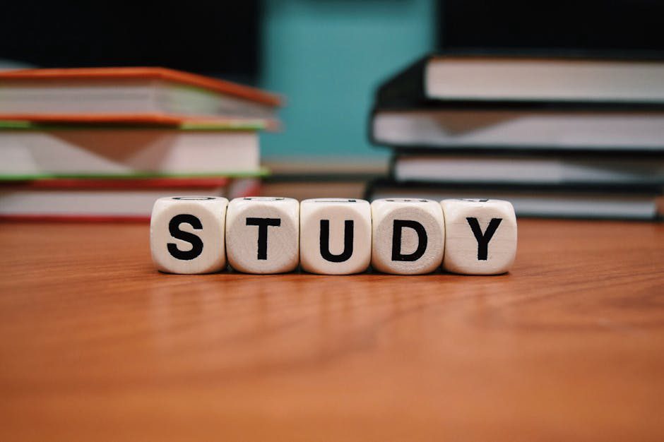 como criar uma rotina de estudos eficiente